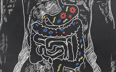 Fatal Gastrointestinal Disorders Due to COVID-19: A Case Series