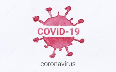 Can the RBD mutation R346X provide an additional fitness to the “variant soup,” including offspring of BQ and XBB of SARS-CoV-2 Omicron for the antibody resistance?