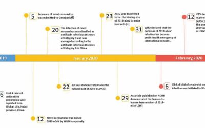 Traditional Chinese medicine for treatment of coronavirus disease 2019: a review