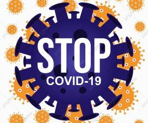 Profiles of objective and subjective cognitive function in Post‐COVID Syndrome, COVID‐19 recovered, and COVID‐19 naïve individuals