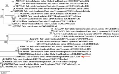 Complete Genome Sequence of a New Ebola Virus Strain Isolated during the 2017 Likati Outbreak in the Democratic Republic of the Congo