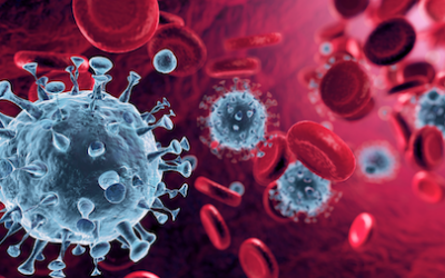 Lineage BA.2 dominated the Omicron SARS-CoV-2 epidemic wave in the Philippines