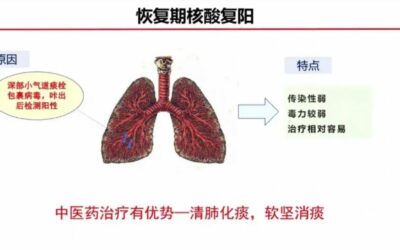 张伯礼：为何出院了又“复阳”？中医如何能做到“零复阳”