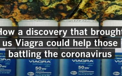 How a discovery that brought us Viagra could help those battling the coronavirus