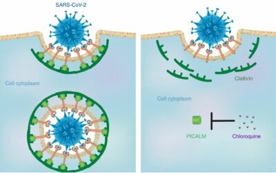 Insights from nanomedicine into chloroquine efficacy against COVID-19