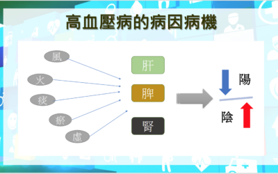 RTHK 精靈一點：2023.06.13 高血壓病的病因病機