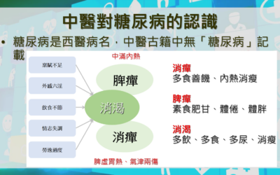 RTHK 精靈一點：2023.05.16 中醫治療糖尿病（一）