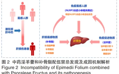 【专栏文章】中药安全性评价理论创新与技术突破：病证毒理学