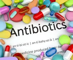 Antibiotics damage the colonic mucus barrier in a microbiota-independent manner