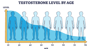 SARS-CoV-2 impairs male fertility by targeting semen quality and testosterone level: A systematic review and meta-analysis