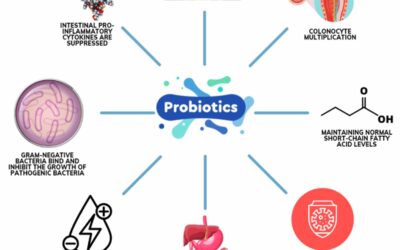 The Potential Impact of Probiotics on Human Health: An Update on Their Health-Promoting Properties