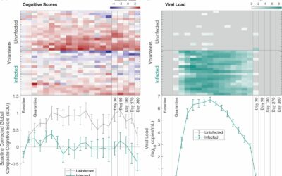 Changes in memory and cognition during the SARS-CoV-2 human challenge study