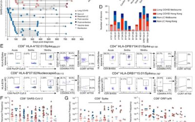 SARS-CoV-2-specific CD8+ T cells from people with long COVID establish and maintain effector phenotype and key TCR signatures over 2 years