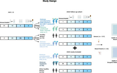 Heterogeneity of SARS-CoV-2 immune responses after the nationwide Omicron wave in China