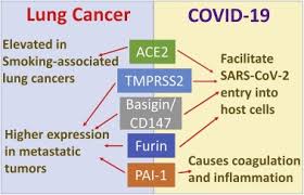 COVID-19 and Carcinogenesis: Exploring the Hidden Links