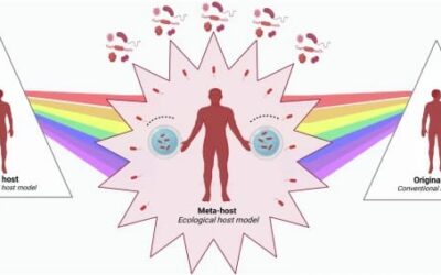 A systematic framework for understanding the microbiome in human health and disease: from basic principles to clinical translation