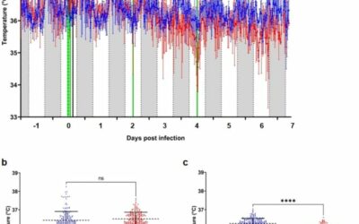 Evidence for SARS-CoV-2 infected Golden Syrian hamsters (Mesocricetus auratus) reducing daily energy expenditure and body core temperature