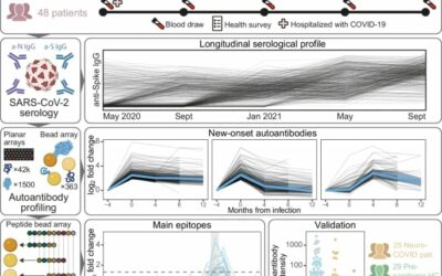 Prevalent and persistent new-onset autoantibodies in mild to severe COVID-19