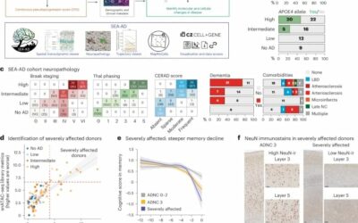 Integrated multimodal cell atlas of Alzheimer’s disease