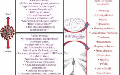 Brain Mechanisms Involved in Post COVID Syndrome: A Narrative Review