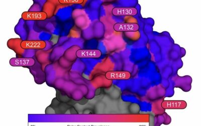 Large-Scale Computational Modeling of H5 Influenza Variants Against HA1-Neutralizing Antibodies