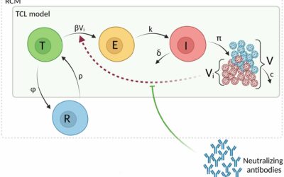 The kinetics of SARS-CoV-2 infection based on a human challenge study