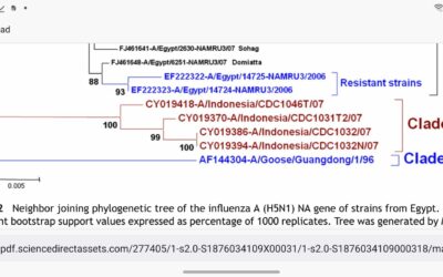 Oseltamivir resistance mutation N294S in human influenza A(H5N1) virus in Egypt