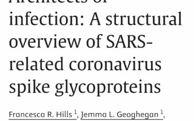 Architects of infection: A structural overview of SARS-related coronavirus spike glycoproteins